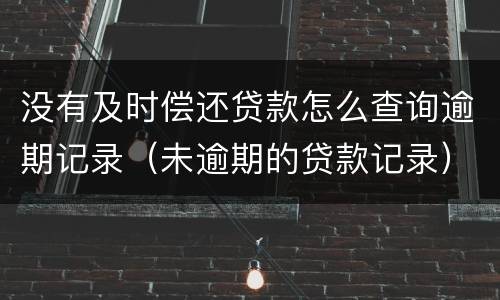 没有及时偿还贷款怎么查询逾期记录（未逾期的贷款记录）