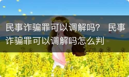 民事诈骗罪可以调解吗？ 民事诈骗罪可以调解吗怎么判