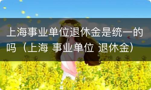 上海事业单位退休金是统一的吗（上海 事业单位 退休金）