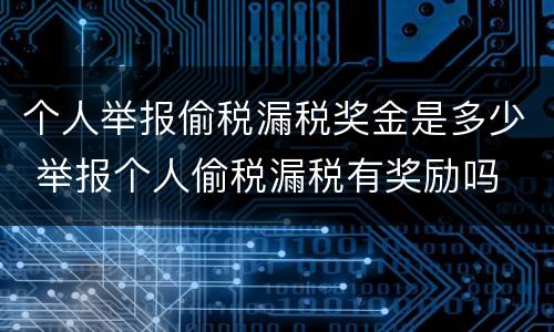 个人举报偷税漏税奖金是多少 举报个人偷税漏税有奖励吗