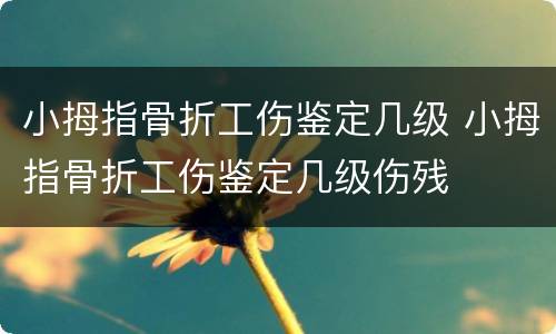 小拇指骨折工伤鉴定几级 小拇指骨折工伤鉴定几级伤残
