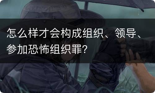 怎么样才会构成组织、领导、参加恐怖组织罪？