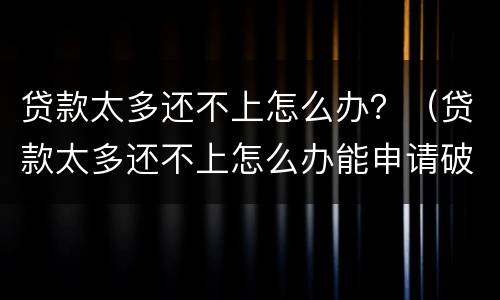 贷款太多还不上怎么办？（贷款太多还不上怎么办能申请破产吗）