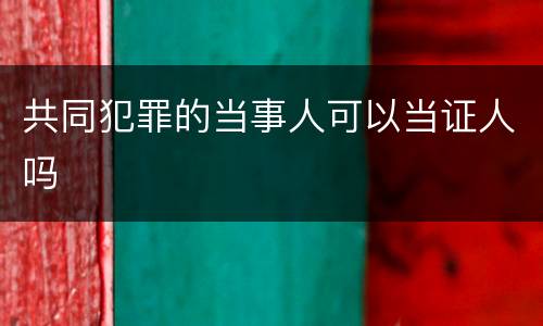 共同犯罪的当事人可以当证人吗