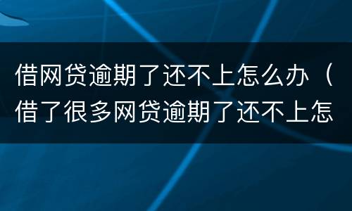 借网贷逾期了还不上怎么办（借了很多网贷逾期了还不上怎么办）