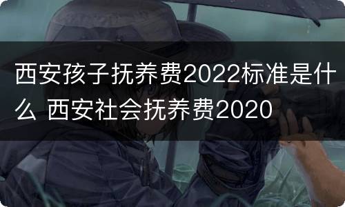 西安孩子抚养费2022标准是什么 西安社会抚养费2020
