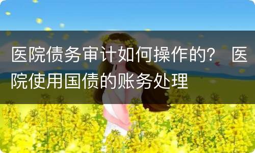 医院债务审计如何操作的？ 医院使用国债的账务处理