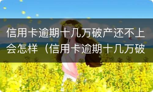 信用卡逾期十几万破产还不上会怎样（信用卡逾期十几万破产还不上会怎样呢）