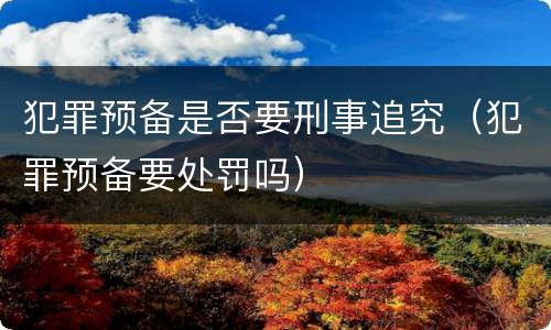 犯罪预备是否要刑事追究（犯罪预备要处罚吗）