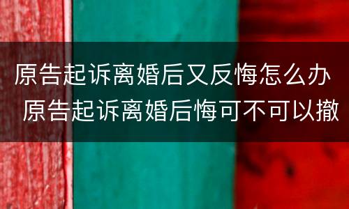 原告起诉离婚后又反悔怎么办 原告起诉离婚后悔可不可以撤诉