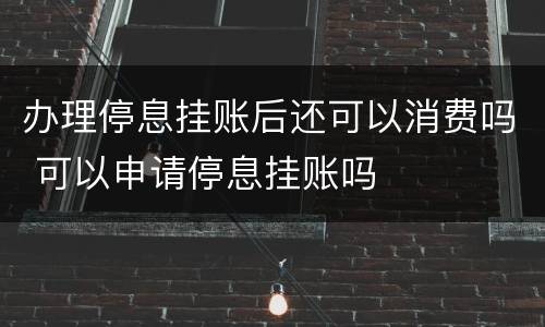 办理停息挂账后还可以消费吗 可以申请停息挂账吗