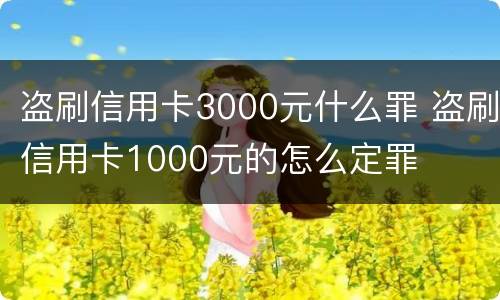盗刷信用卡3000元什么罪 盗刷信用卡1000元的怎么定罪