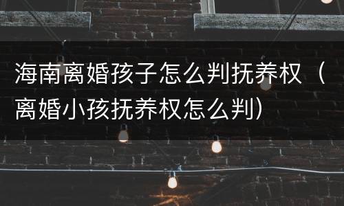 海南离婚孩子怎么判抚养权（离婚小孩抚养权怎么判）