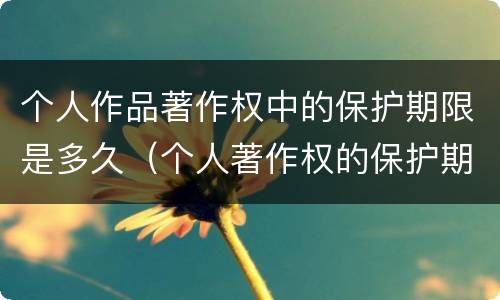 个人作品著作权中的保护期限是多久（个人著作权的保护期限是多少）