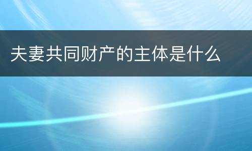 夫妻共同财产的主体是什么