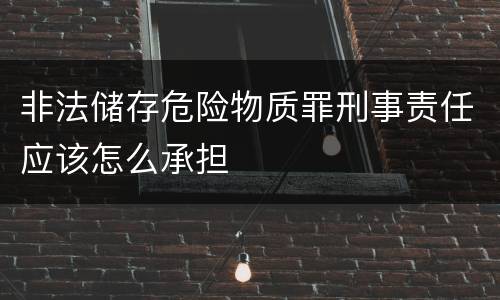 非法储存危险物质罪刑事责任应该怎么承担