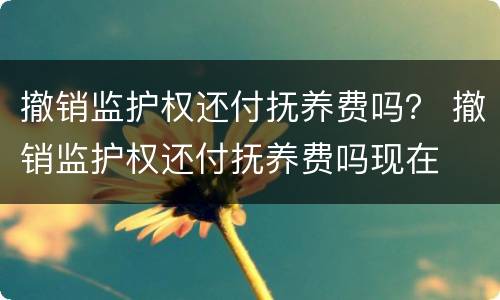 撤销监护权还付抚养费吗？ 撤销监护权还付抚养费吗现在