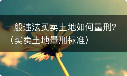 一般违法买卖土地如何量刑？（买卖土地量刑标准）