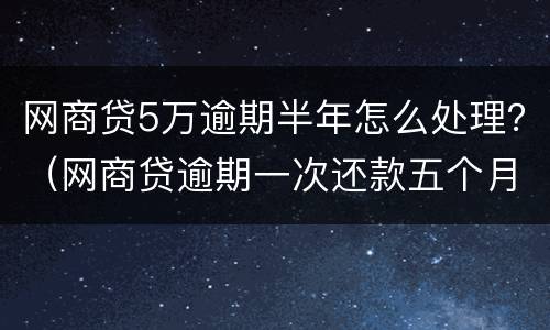 网商贷5万逾期半年怎么处理？（网商贷逾期一次还款五个月还是用不了）