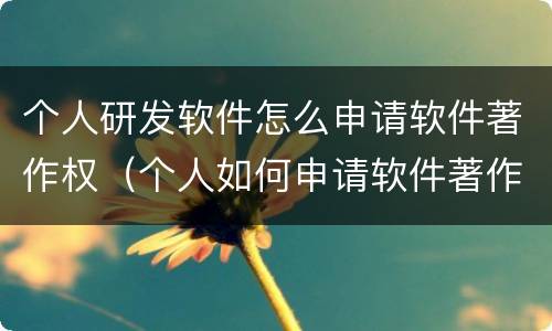个人研发软件怎么申请软件著作权（个人如何申请软件著作权）