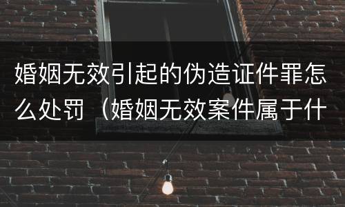 婚姻无效引起的伪造证件罪怎么处罚（婚姻无效案件属于什么程序）