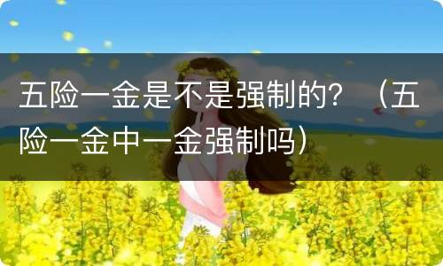 五险一金是不是强制的？（五险一金中一金强制吗）