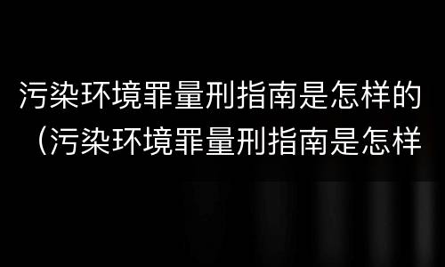 污染环境罪量刑指南是怎样的（污染环境罪量刑指南是怎样的案例）
