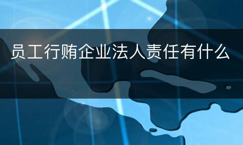 员工行贿企业法人责任有什么