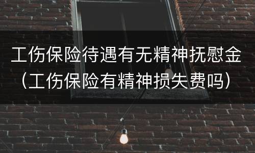 工伤保险待遇有无精神抚慰金（工伤保险有精神损失费吗）