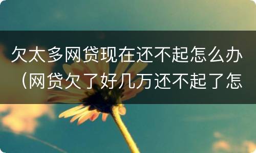 欠太多网贷现在还不起怎么办（网贷欠了好几万还不起了怎么办）