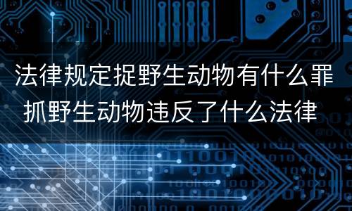 法律规定捉野生动物有什么罪 抓野生动物违反了什么法律