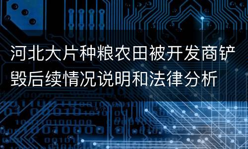 河北大片种粮农田被开发商铲毁后续情况说明和法律分析