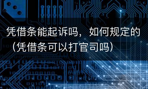 凭借条能起诉吗，如何规定的（凭借条可以打官司吗）