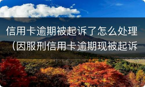 信用卡逾期被起诉了怎么处理（因服刑信用卡逾期现被起诉该怎么做）