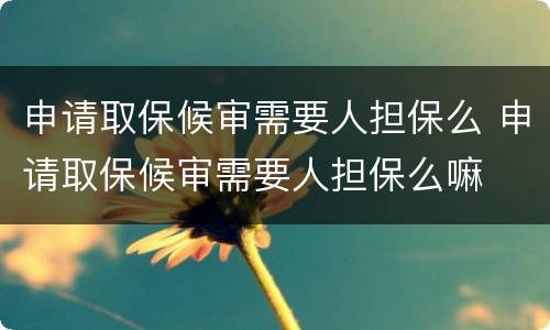 申请取保候审需要人担保么 申请取保候审需要人担保么嘛
