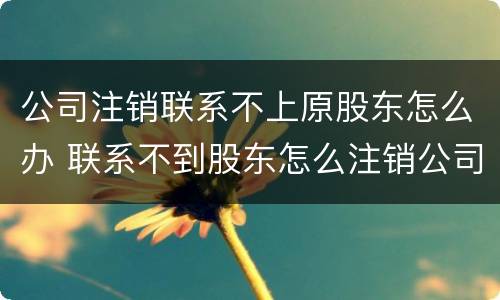 公司注销联系不上原股东怎么办 联系不到股东怎么注销公司