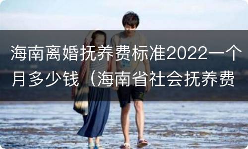 海南离婚抚养费标准2022一个月多少钱（海南省社会抚养费的征收标准）