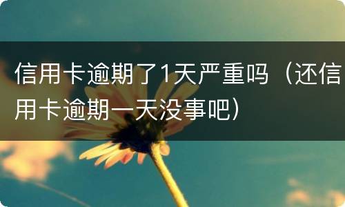 信用卡逾期了1天严重吗（还信用卡逾期一天没事吧）