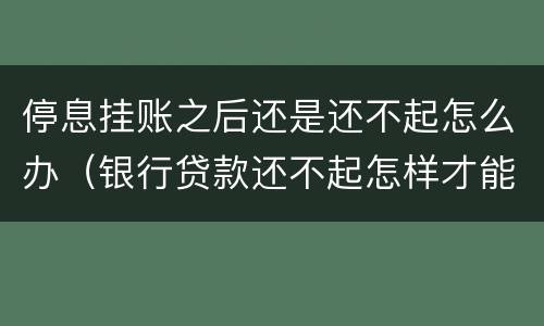 停息挂账之后还是还不起怎么办（银行贷款还不起怎样才能停息挂账）