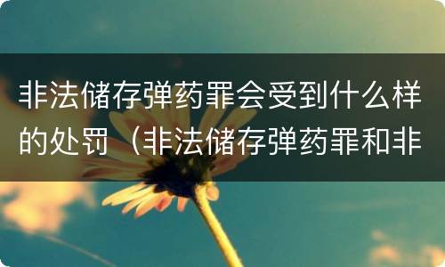 非法储存弹药罪会受到什么样的处罚（非法储存弹药罪和非法持有弹药罪）