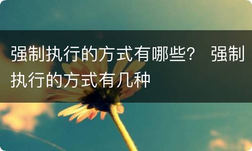 强制执行的方式有哪些？ 强制执行的方式有几种