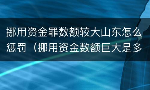 挪用资金罪数额较大山东怎么惩罚（挪用资金数额巨大是多少）