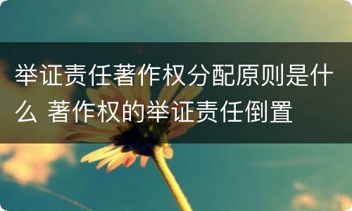 举证责任著作权分配原则是什么 著作权的举证责任倒置