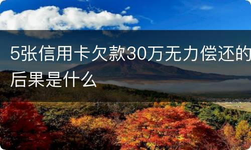 5张信用卡欠款30万无力偿还的后果是什么