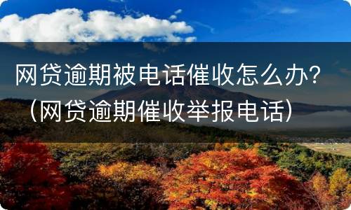 网贷逾期被电话催收怎么办？（网贷逾期催收举报电话）
