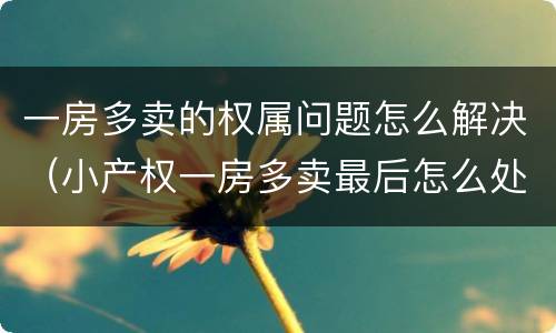 一房多卖的权属问题怎么解决（小产权一房多卖最后怎么处理）