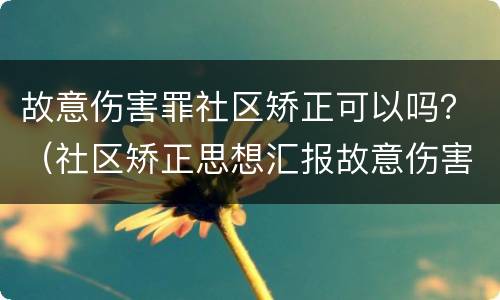 故意伤害罪社区矫正可以吗？（社区矫正思想汇报故意伤害罪）