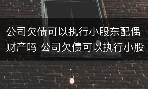 公司欠债可以执行小股东配偶财产吗 公司欠债可以执行小股东配偶财产吗知乎