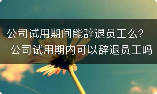 公司试用期间能辞退员工么？ 公司试用期内可以辞退员工吗