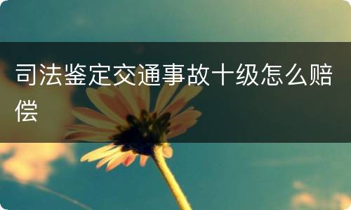 司法鉴定交通事故十级怎么赔偿